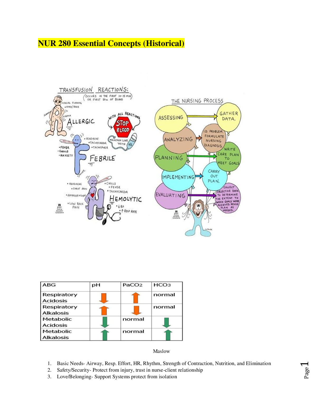 Preview image of NUR 280-The Ultimate Guide document